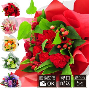 LO a ԑ v[g G[fCX u[PEWGbg