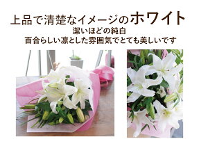 花束【あす楽12時まで受付】 誕生日 花 百合 ユリ フラワーギフト 結婚記念日 大輪 お供え 花 ゆり 供花 エーデルワイス ピンク 白 ユリの花束15輪以上