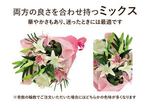 ԑyy12܂Ŏtz a  S  t[Mtg LO      G[fCX sN  ̉ԑ15ֈȏ