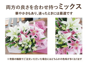花束【あす楽12時まで受付】 誕生日 百合 ユリ フラワーギフト 結婚記念日 大輪 エーデルワイス ピンク 白 ユリの花束20輪以上