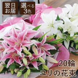 花束【あす楽12時まで受付】 誕生日 百合 ユリ フラワーギフト 結婚記念日 大輪 エーデルワイス ピンク 白 ユリの花束20輪以上