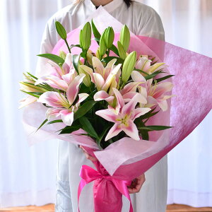 ԑyy12܂Ŏtz a S  t[Mtg LO r͂͂ r  G[fCX sN  ̉ԑ25ֈȏ