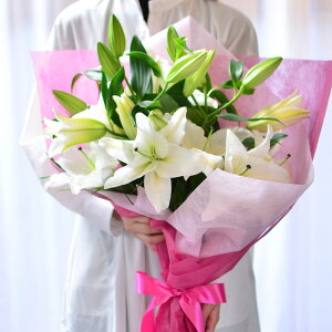 ԑyy12܂Ŏtz a S  t[Mtg LO r͂͂ r  G[fCX sN  ̉ԑ25ֈȏ