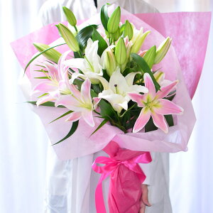 ԑyy12܂Ŏtz a S  t[Mtg LO r͂͂ r  G[fCX sN  ̉ԑ25ֈȏ