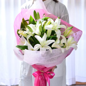 ԑyy12܂Ŏtz a S  t[Mtg LO r͂͂ r   G[fCX sN  ̉ԑ30ֈȏr  r