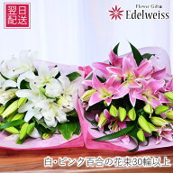 敬老の日 花束【あす楽12時まで受付】 誕生日 百合 ユリ フラワーギフト 結婚記念日 お供え 大輪 エーデ…