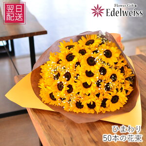 Ђ܂ ԑ   50{ a v[g v|[Y  j j  މ@j LO \ a j Ď    ` G F IW t[