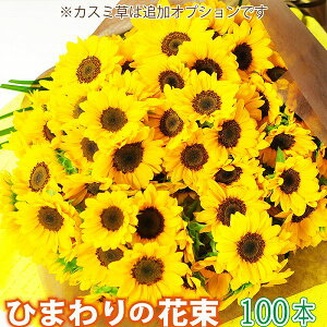 a v[g ԑ v|[Y ؉ 100{  މ@j 䒆  z  t[Mtg G[fCX Ђ܂̉ԑ 100{