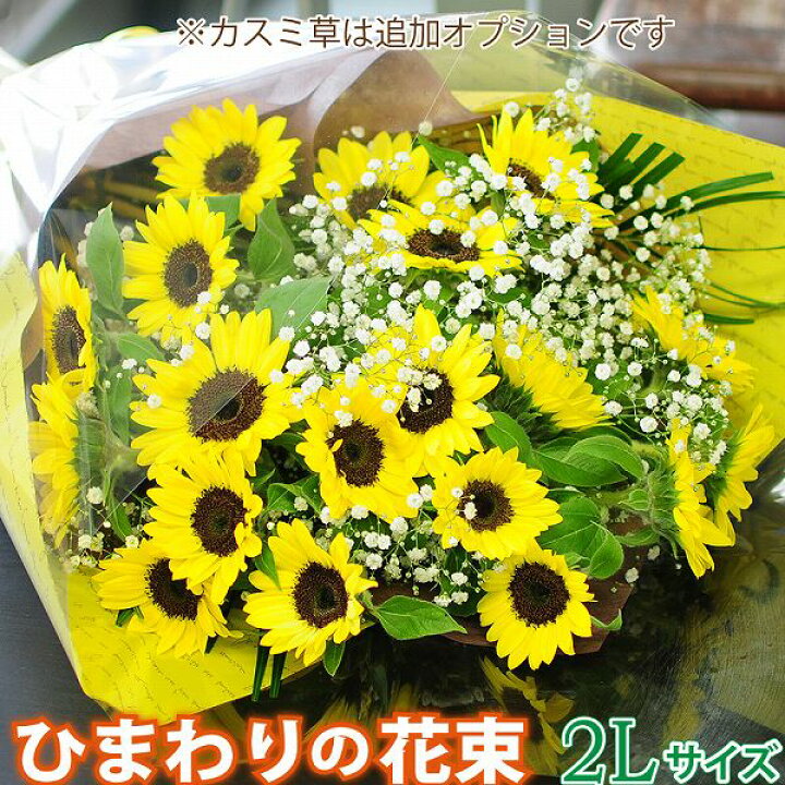 1494円 大人気の 花 ギフト ひまわり 向日葵 アレンジメント 退院祝い お見舞い お中元ギフト ヒマワリ
