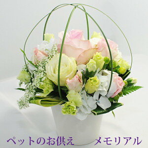 ybg       ybĝ lR   ̂͂ 킢 FIׂ z G[fCX ybĝAWg A