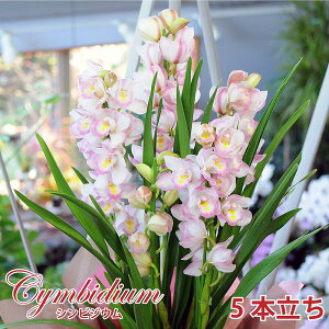 VrWE  sNn m  a LO J@j JƏj ړ]j JXj ACj ij  oW W M[ v[g VrW[ sNn 5{