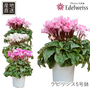 VN 5 Ε Mtg VN A 5 Ε  Mtg Yn VN  Ε VN Mtg  Ε Mtg av[g  JXj  v[g 