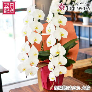 Ӓ JXj   2{ Ӓ ]Ή ސE i i h] ACj  ӒMtgJ@jӒ JƏjӒ ݗjӒ ВACjӒ ijӒ