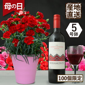 母の日 鉢植え 花 フラワーギフト プレゼント 2024 チリワイン カーネーション5号鉢と赤ワインのセット