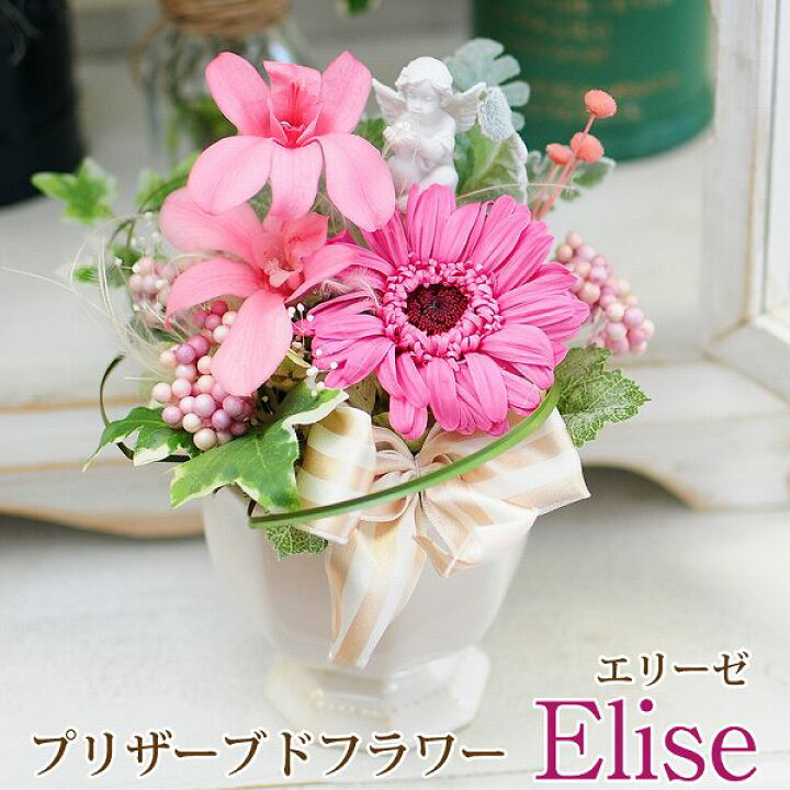 楽天市場 花 プリザーブドフラワー ガーベラ 誕生日花 オススメ プリザーブドフラワー 誕生日プリザーブドフラワー あす楽 送料無料 花 記念日 ギフト プレゼント クリアケース入り 花 ブリザーブドフラワー エリーゼ 誕生日 結婚記念日 花 エーデルワイス 花宅配花屋 楽天市場 花 プリザーブドフラワー ガーベラ 誕生日花 オススメ プリザーブドフラワー 誕生日プリザーブドフラワー あす楽 送料無料 花 記念日 ギフト プレゼント クリアケース入り 花 ブリザーブドフラワー エリーゼ 誕生日 結婚記念日 花 エーデルワイス 花宅配花屋