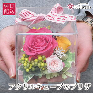  a v[g LO j Mtg vU[uht[ P[X 킢 sN o ͂Ȃ G[fCX L[ũvU[uht[