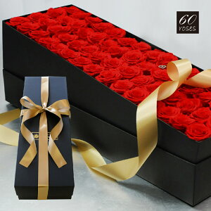 ԗ\ j v|[Y TvCY a v[g Mtg   uU[ht[ LO ޏ  t[Mtg vU[uht[ Ԃo t[{bNX 60