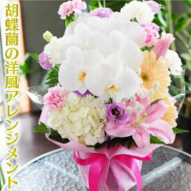 楽天市場 胡蝶蘭 フラワーアレンジメント 花 観葉植物 花 ガーデン Diyの通販