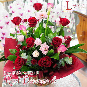   w AE j  LO a Ȃ̓ v[g t[AWg Ԃo  v|[Y  LO j ͓w KN j ԃo bh_ChL