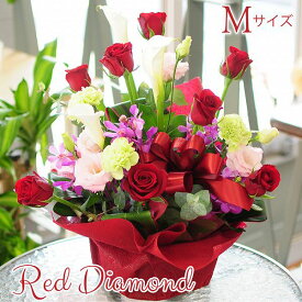 結婚記念日 フラワーギフト 誕生日 プロポーズ 愛妻の日 送料無料 薔薇 プレゼント レッドダイヤモンドMサイズ 卒業祝 周年祝い 開店祝　開業祝 個展祝 華やか 豪華 卓上花 翌日 明日着 配送 届け 届日指定 宅配 翌日配達花 エーデルワイス