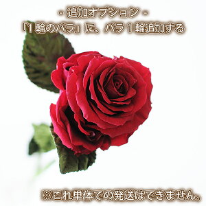  o1֒ǉ vU[uht[ 1ւ̃o ɒǉIvV P̂ł̔͂ł܂ av[g/j/ԃMtg/ԑz/v[g/