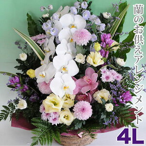 お供え 花 贈る 供花 蘭 お供え 花 アレンジメント お悔み 花 上品 喪中見舞い お供え物 枕花 初七日 命日 四十九日 一周忌 三回忌 故人 御供 供養 法事 法要 喪中 ペット 花 仏花 生花 エーデ