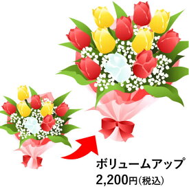 お花のボリュームアップ 2,200円(税込)分 ボリュームアップ 花束・アレンジメント等への追加用 これ単体での発送はできません 誕生日プレゼント お祝 花ギフト 花宅配 プレゼント