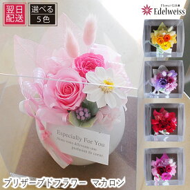 誕生日 花 プリザーブドフラワー 枯れない花 誕生日プレゼント 花 プリザーブドフラワー バラ オススメ プリザーブドフラワー 誕生日 記念日 女友達 ギフト エーデルワイス オリジナル マカロン クリアケース入り 翌日 明日 急ぎ 明日着 配送 配達 届け 宅配 翌日配達花