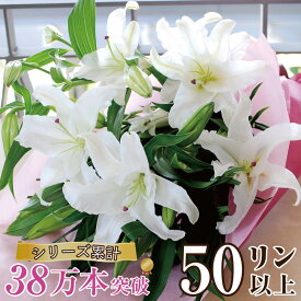 花束 誕生日 プレゼント ユリ 花束 50輪 百合 ゆり 花束 お供え 白ユリ50輪以上 宅配