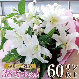 生花 ユリ 花束の人気商品 通販 価格比較 価格 Com 生花 ユリ 花束の人気商品 通販 価格比較 価格 Com