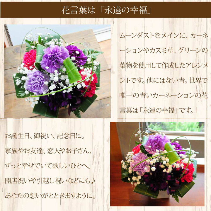 楽天市場 敬老の日 花 プレゼント 誕生日プレゼント 花 送料無料 お祝い 花 ギフト 還暦祝い 古希 喜寿 卒寿 お祝い 記念日プレゼント 花 ギフト 退職祝い 長寿のお祝い 青紫系 カーネーション ムーンダスト 宅配 花 エーデルワイス ムーンダスト アレンジメント