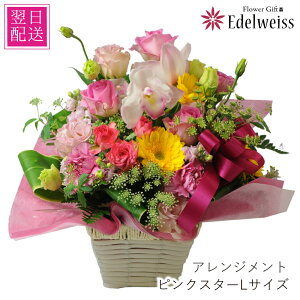 a  sNX^[ LTCY t[ AWg  މ@j