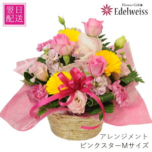 aAWg蕨 ԑ j v[g t[Mtg ސE   jsNX^[ MTCY