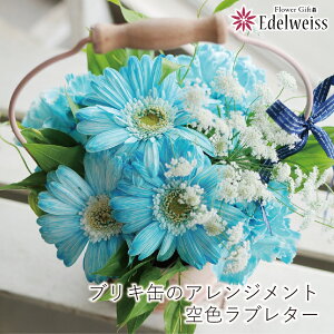 a v[g  a  Mtg K[x AWg j a a LO  u[n F   G[fCX uL 킢  u[nA