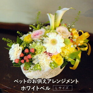 ペット お悔やみ花 お供え花 かわいい供花 生花ペット向け おしゃれ 供養 動物 お悔やみ 犬 猫 ペットのお供え アレンジメント ホワイトベル Lサイズ