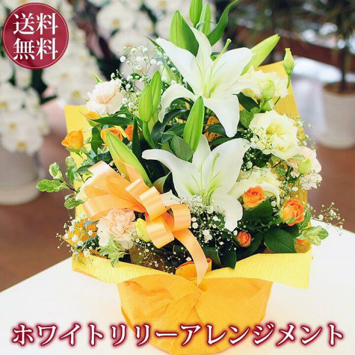 楽天市場 誕生日 花贈り 転勤花 退職花 昇進花 昇格花 栄転花 就任祝い花 送料無料 ホワイトリリー アレンジメント ユリのアレンジメント 花の贈り物 フラワーアレンジメント 白ゆり 白ユリ 白百合 アレンジメント エーデルワイス 花宅配花屋ギフト 楽天市場 誕生日 花贈り 転勤花 退職花 昇進花 昇格花 栄転花 就任祝い花 送料無料 ホワイトリリー アレンジメント ユリのアレンジメント 花の贈り物 フラワーアレンジメント 白ゆり 白ユリ 白百合 アレンジメント エーデルワイス 花宅配花屋ギフト