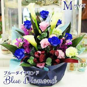     w AE j  u[[Y o  t[AWg  JXj JƏj@yԁ@Wj j j LO a j   }