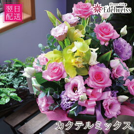 開店祝 開院祝 記念日 周年祝 お祝い 誕生日 翌日配送 花 ピンク パープル おしゃれ 華やか フラワー アレンジメント バラ カーネーショントルコキキョウ 上品 女性 30代 40代 50代 60代 古希 長寿 明日着 最短 エーデルワイス フラワーアレンジメント カクテルミックス