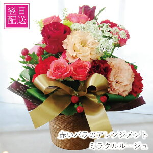     w AE j  Ȃ̓ o LO a  Ԃo v|[Y  j KN v[g ԃo ޏ  ~N[W Əj lj 