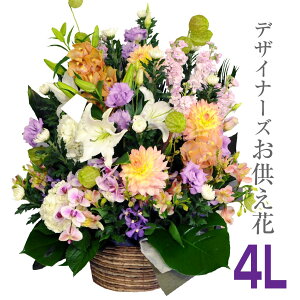 ފ     AWg       l\  O 䋟 { @ @v r ybg   G[fCX ݂̉ fUCi