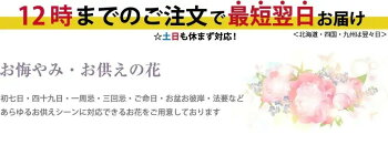 楽天市場 お供え 仏花 お供え花 即日 お悔やみ アレンジメント 仏花 命日 四十九日 1周忌 一周忌 法事 法要 三回忌 回忌法要 お彼岸 デザイナーズお供え花 Sサイズ エーデルワイス 花宅配花屋ギフト