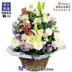 y y12܂Ŏt z        t[AWg   S @@v O l\  O @v r { G[fCX 