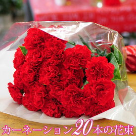花束 誕生日 プレゼント ギフト カーネーション 送料無料 エーデルワイス 赤いカーネーション20本の花束