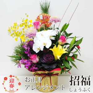 2026   }t   v[g  t[AWg j VN N   CN Ӓ o KN ؂₩ t[Mtg G[fCX  傤