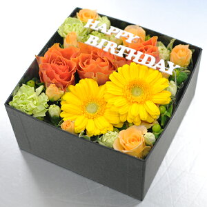  o t[AWg [Y{bNX LTCY ԃMtg aAWg LOAWg AWgz AWg z {bNXt[   }