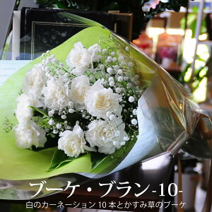 ފ  ̓ J[l[V ԑ r  m   ؂ d SȂꂳɑ锒J[l[V10{ƃJX~̉ԑ@u[PEu10