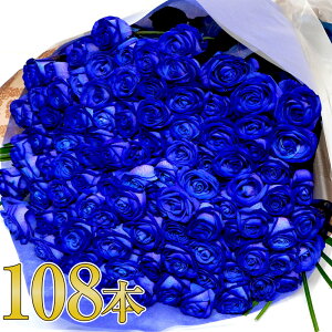 ԑ v|[Y u[[Y o KN Mtg a v[g KN  zez i TvCY ͓w   }  z ͂ z zB  o