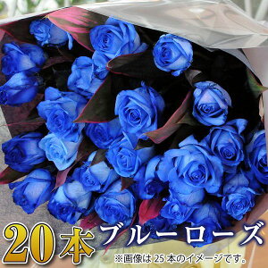 生花 花束 青いバラの人気商品 通販 価格比較 価格 Com 生花 花束 青いバラの人気商品 通販 価格比較 価格 Com