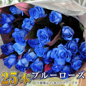     w j  u[[Y o KN a 25  v[g Ȃ̓  LO v|[Y  j LO 20 o25{ G[fC