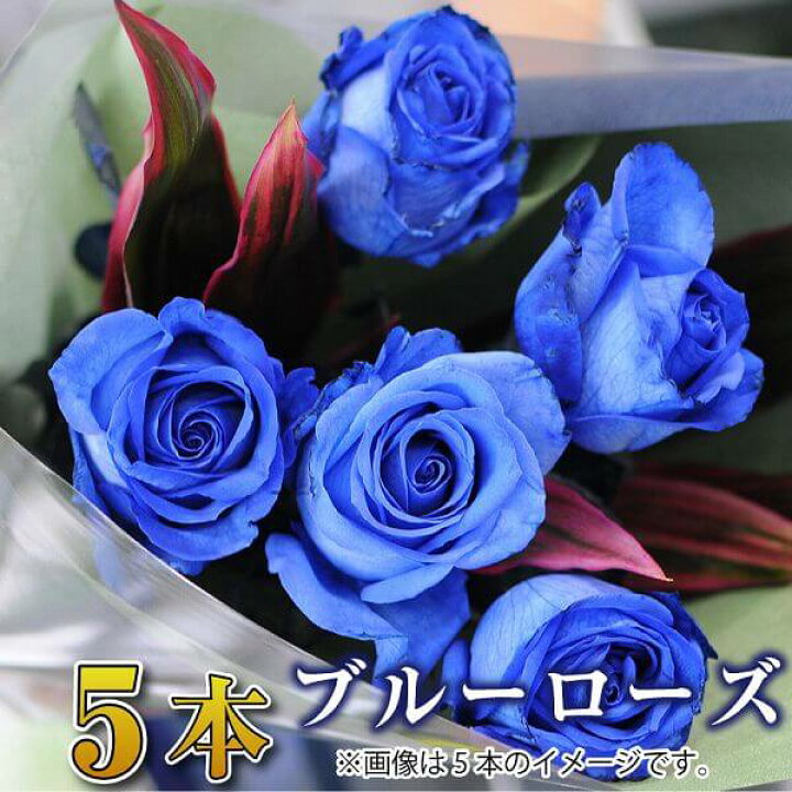 楽天市場 バラ 花束 5本 青いバラ ブルーローズ 花束 誕生日 花 ギフト 青いバラ 青いバラ花束 誕生日 結婚記念日 プロポーズ 花束 青いバラ 5本の花束 ブルーローズ 薔薇 送料無料 青いバラの花束 誕生祝いに贈る花束 バースデーギフト 卒業祝い 花束 エーデルワイス